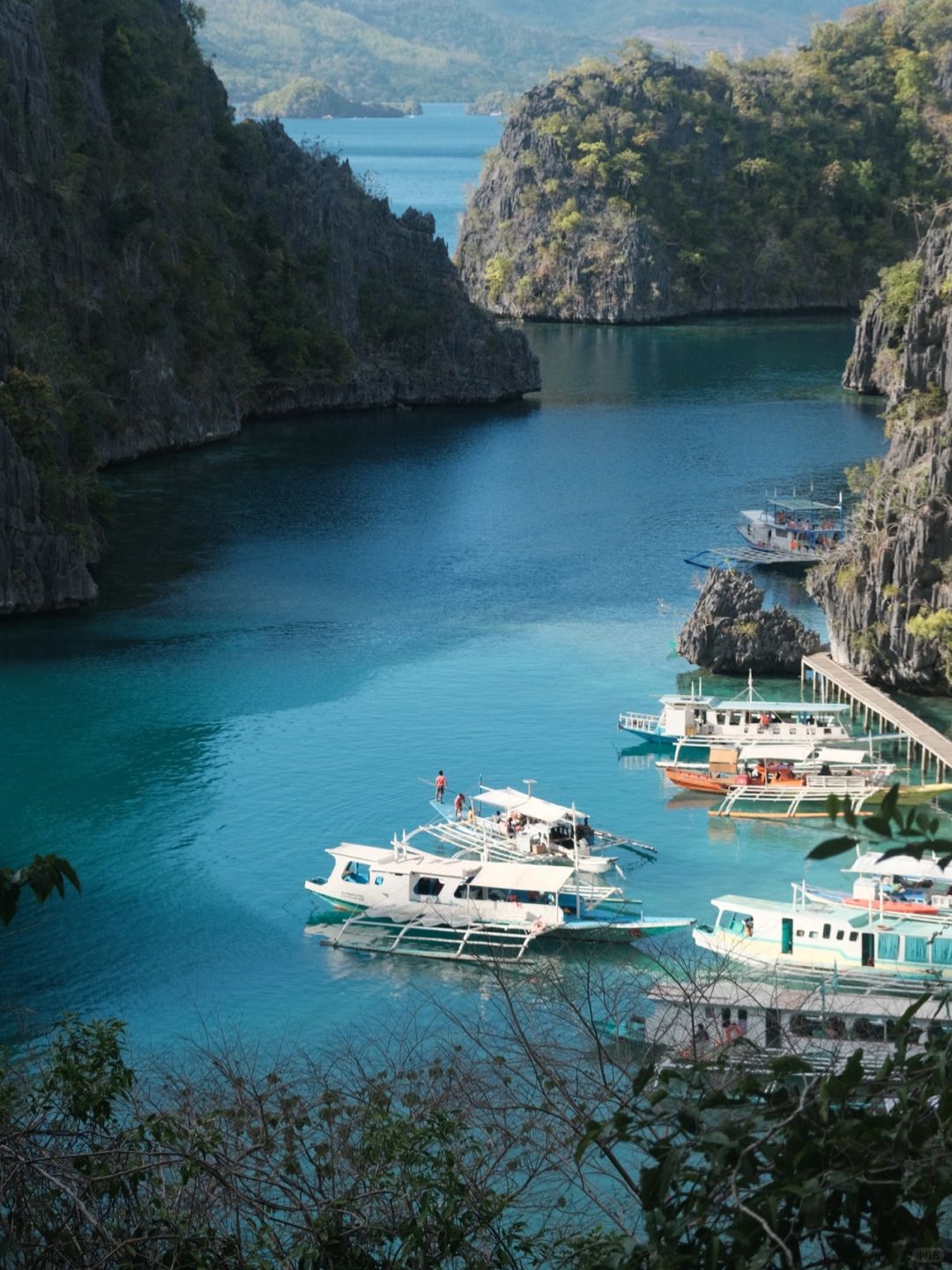 Cebu-A nanny-level travel guide to Palawan, Philippines, Coron is world-famous diving destination