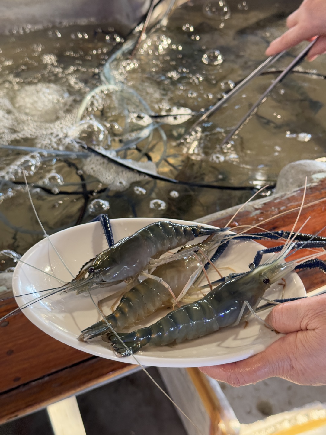 Pattaya-Jomtien Lobster Beach Buffet Restaurant, priced at 499 baht per person, with fresh ingredients