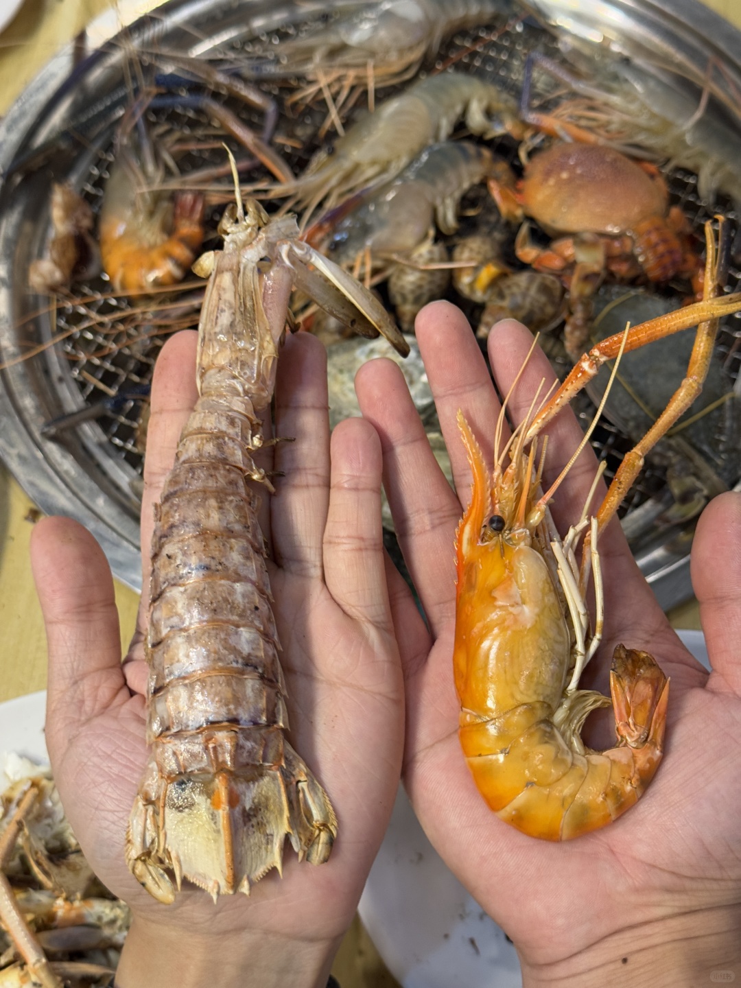 Pattaya-Jomtien Lobster Beach Buffet Restaurant, priced at 499 baht per person, with fresh ingredients