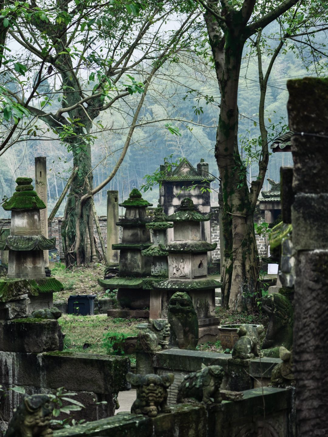 Chengdu/Chongqing-The Bayu Cultural Museum is a place for close viewing of cultural relics, which is very stunning!