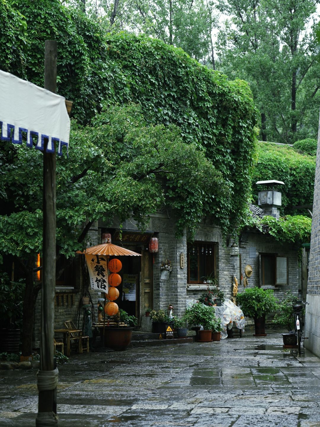 Beijing/Tianjin-Beijing Hongzhuang is full of poetry, painting, and endless romance!