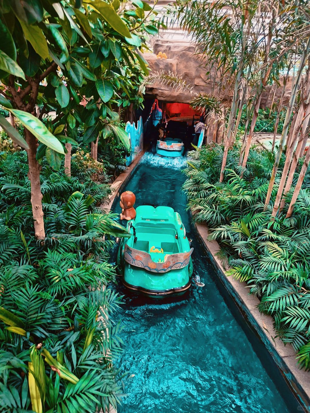 Beijing/Tianjin-Beijing Wuzhou Botanical Garden has a parrot performance, which is very exciting!