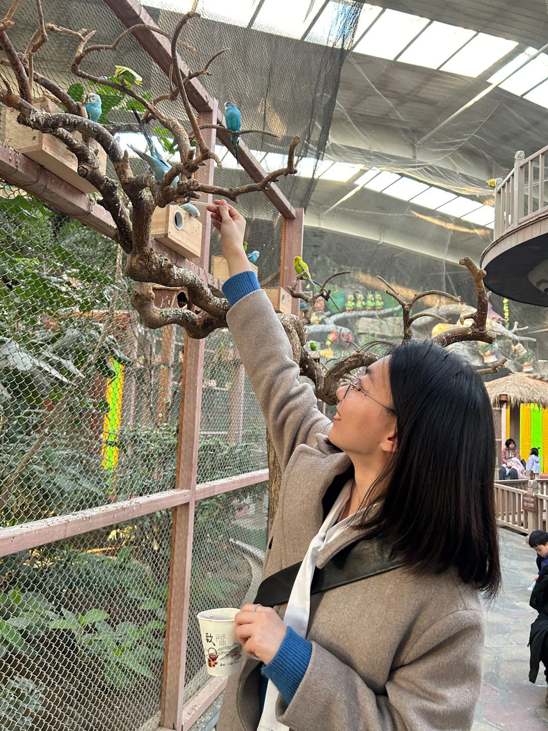 Beijing/Tianjin-Beijing Wuzhou Botanical Garden has a parrot performance, which is very exciting!