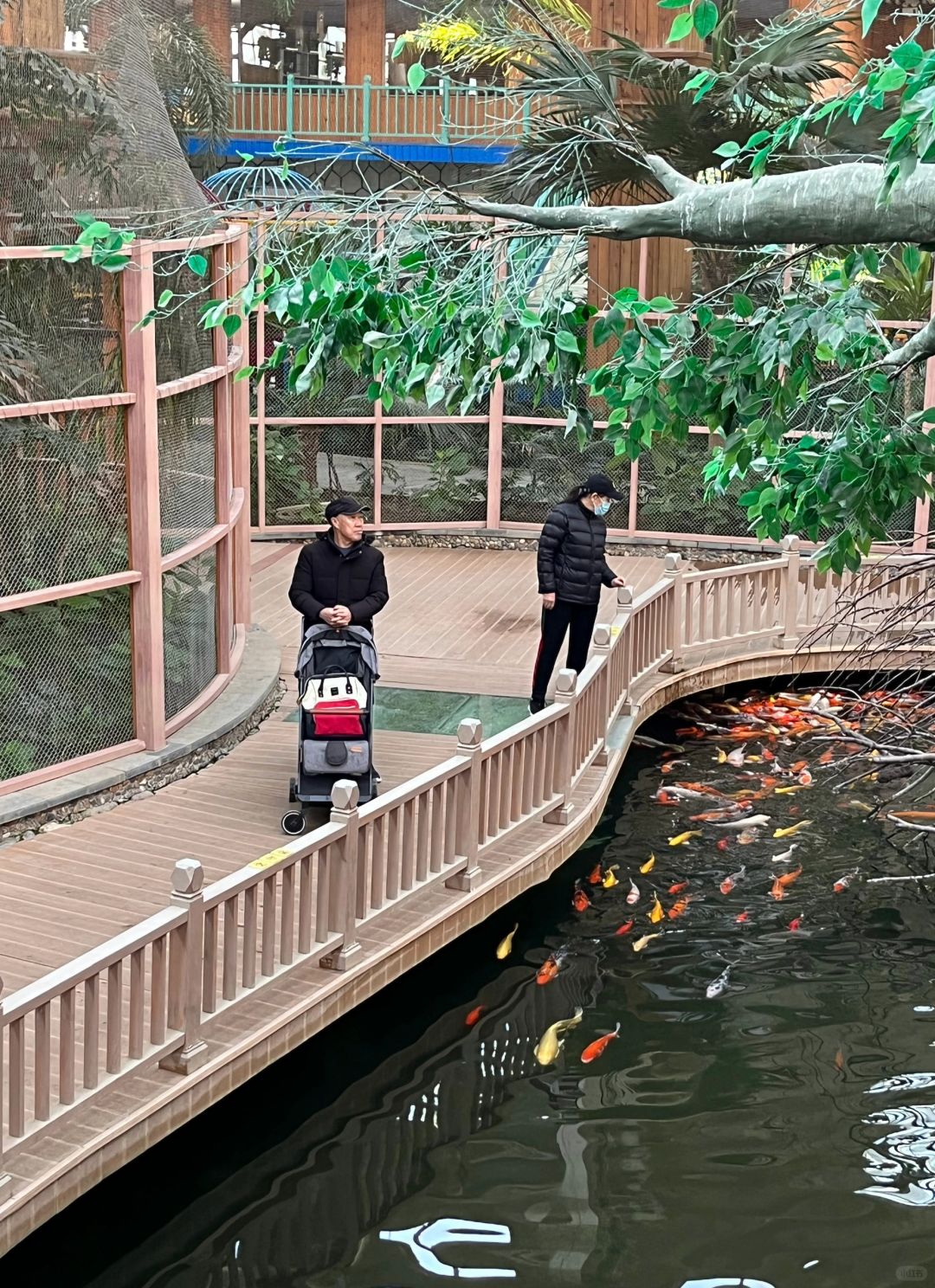 Beijing/Tianjin-Beijing Wuzhou Botanical Garden has a parrot performance, which is very exciting!