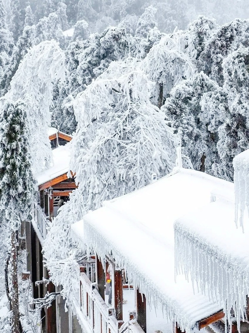 Changsha-There are many places to admire rime in Hunan, and the mountaintops are covered with crystal clear mist, like jade trees!