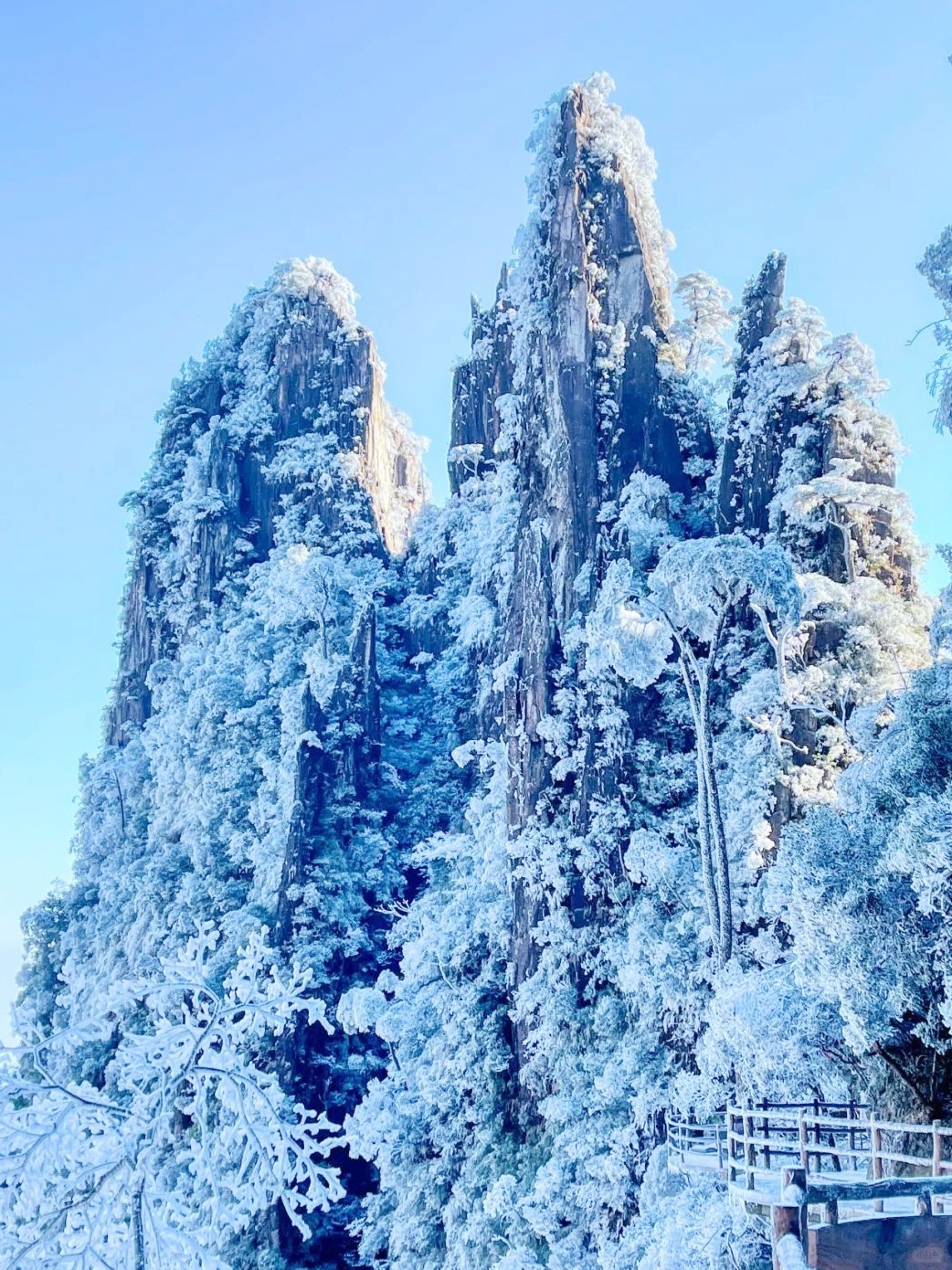 Changsha-There are many places to admire rime in Hunan, and the mountaintops are covered with crystal clear mist, like jade trees!