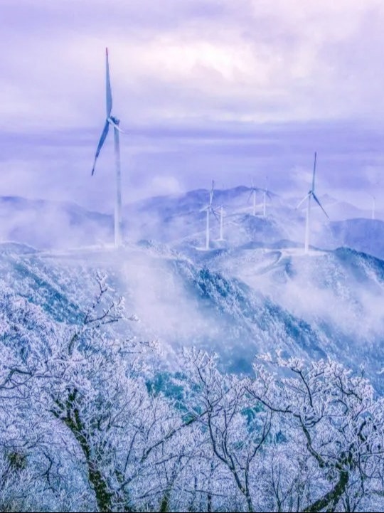 Changsha-There are many places to admire rime in Hunan, and the mountaintops are covered with crystal clear mist, like jade trees!