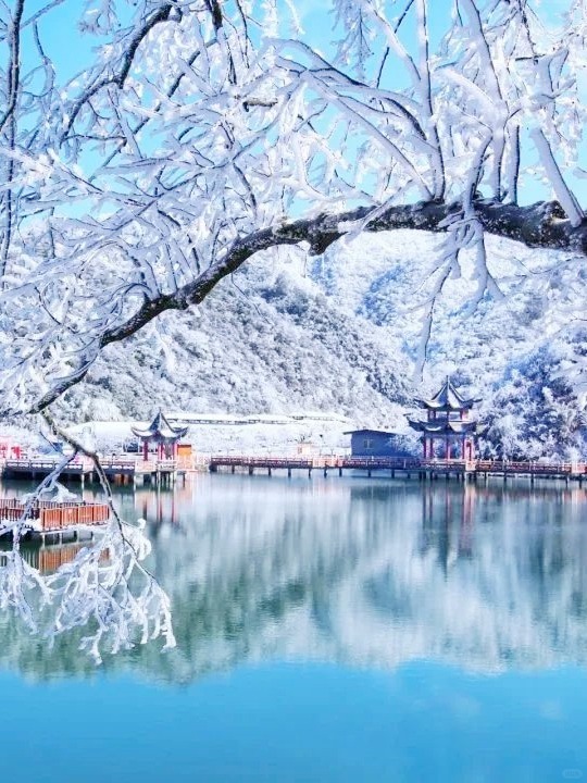 Changsha-There are many places to admire rime in Hunan, and the mountaintops are covered with crystal clear mist, like jade trees!