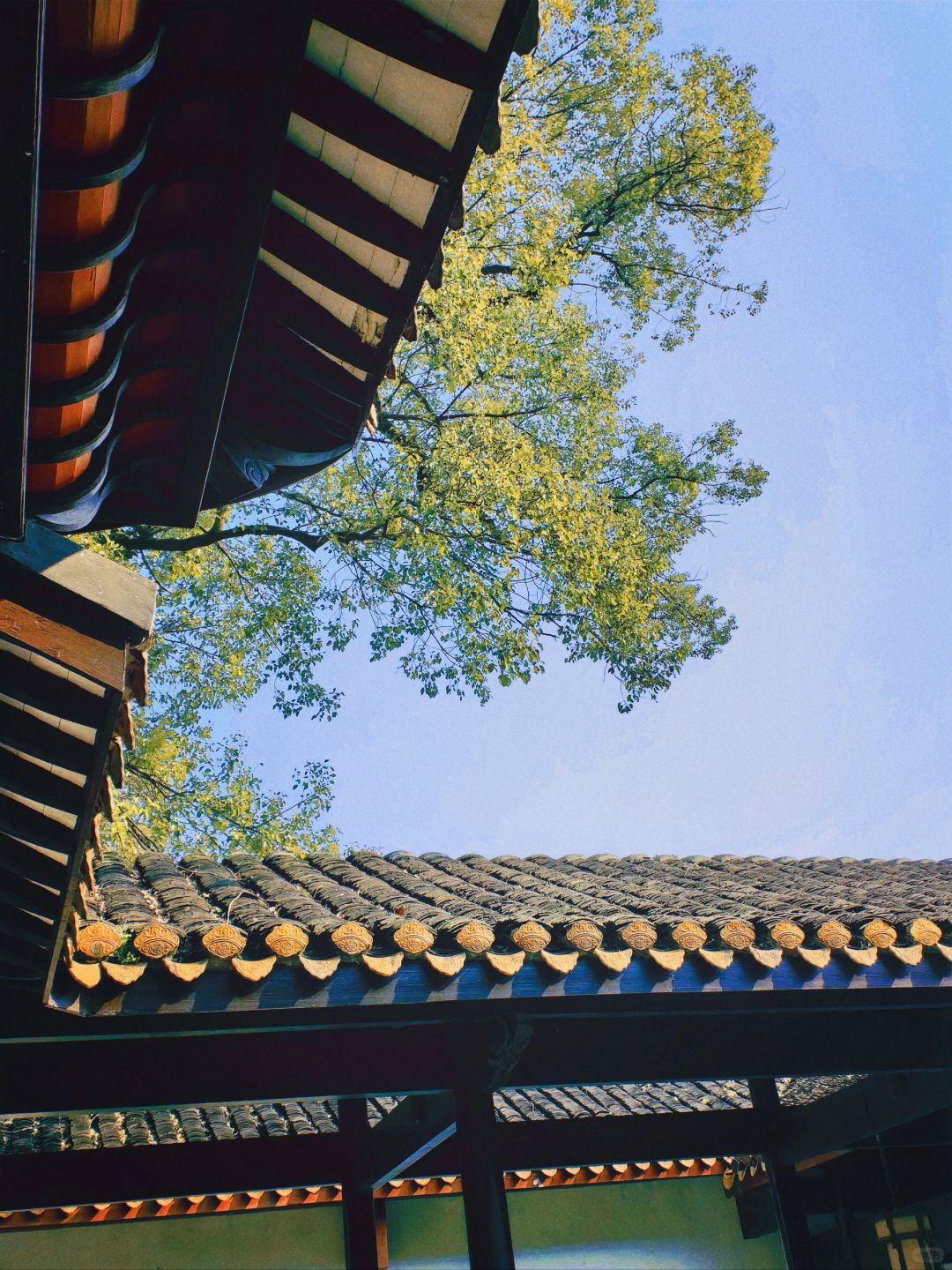 Changsha-Changsha Yuelu Academy has beautiful scenery and I like its architectural style!