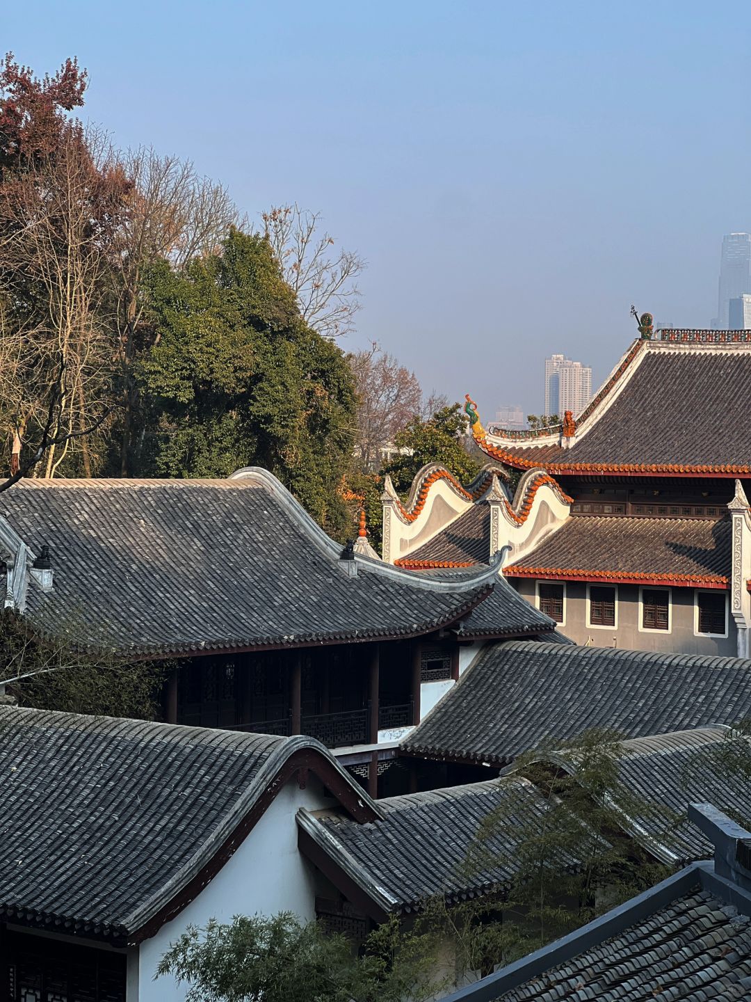 Changsha-Changsha Yuelu Academy, escape the hustle and bustle of the city and enjoy the peaceful scenery!