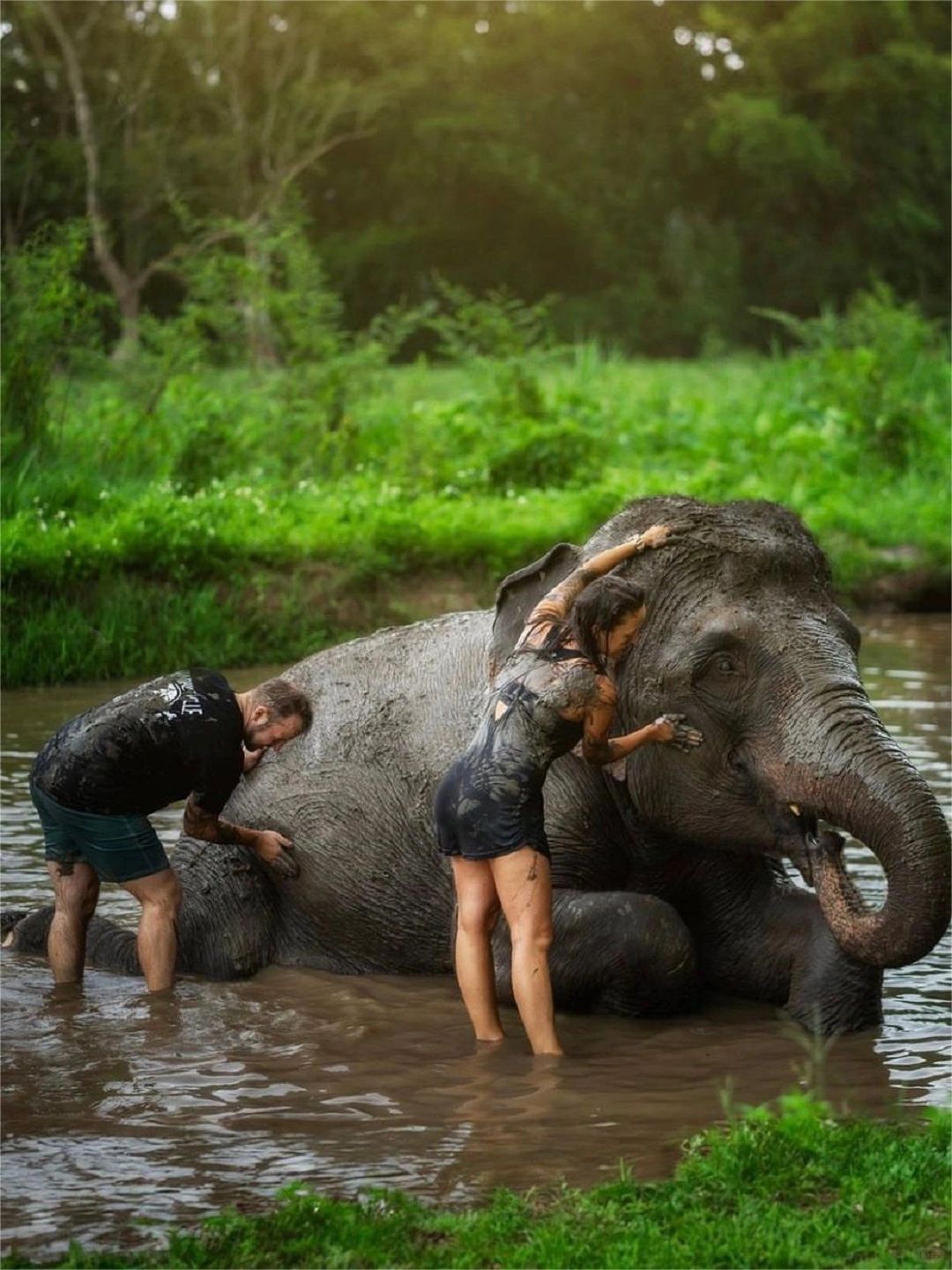 Chiang Mai-Chiang Mai Secret Elephant Camp👏, close contact with elephants, feeding and bathing