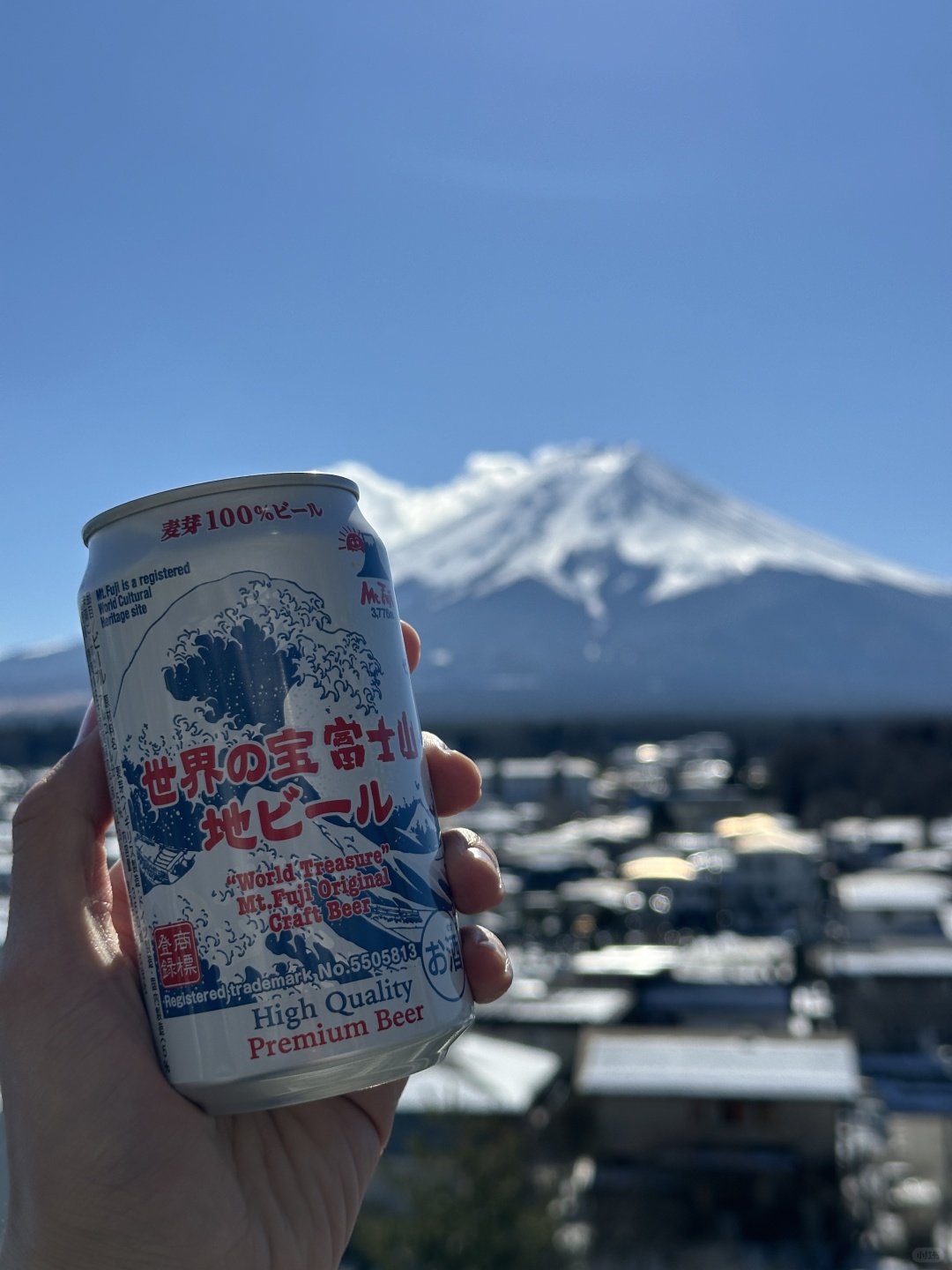 Tokyo-Travel to Japan in winter to enjoy Mount Fuji🗻, which is romantic enough in itself❄️