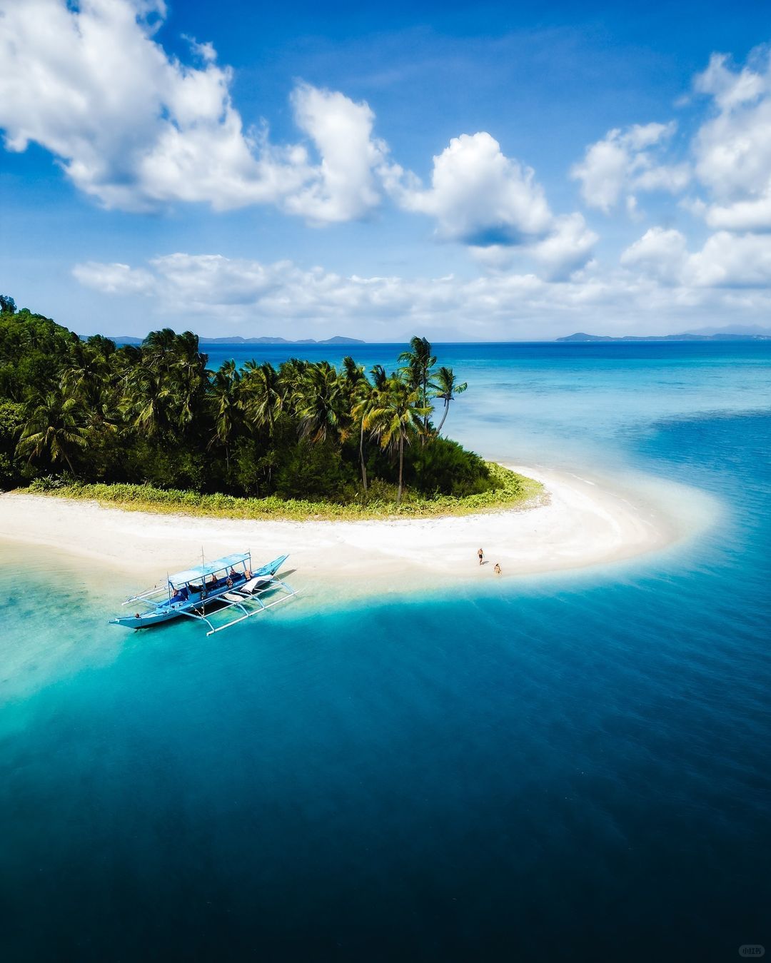 Cebu-Palawan Aini Island⛺, a treasure tourism island that you will definitely fall in love with