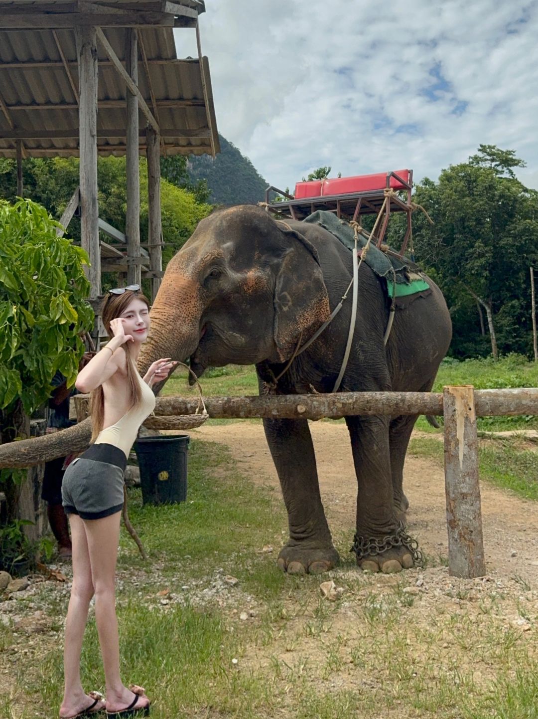 Krabi-Krabi Mirror Lake kayaking adventure, feeding 45-year-old elephants, ATV playing in the mud