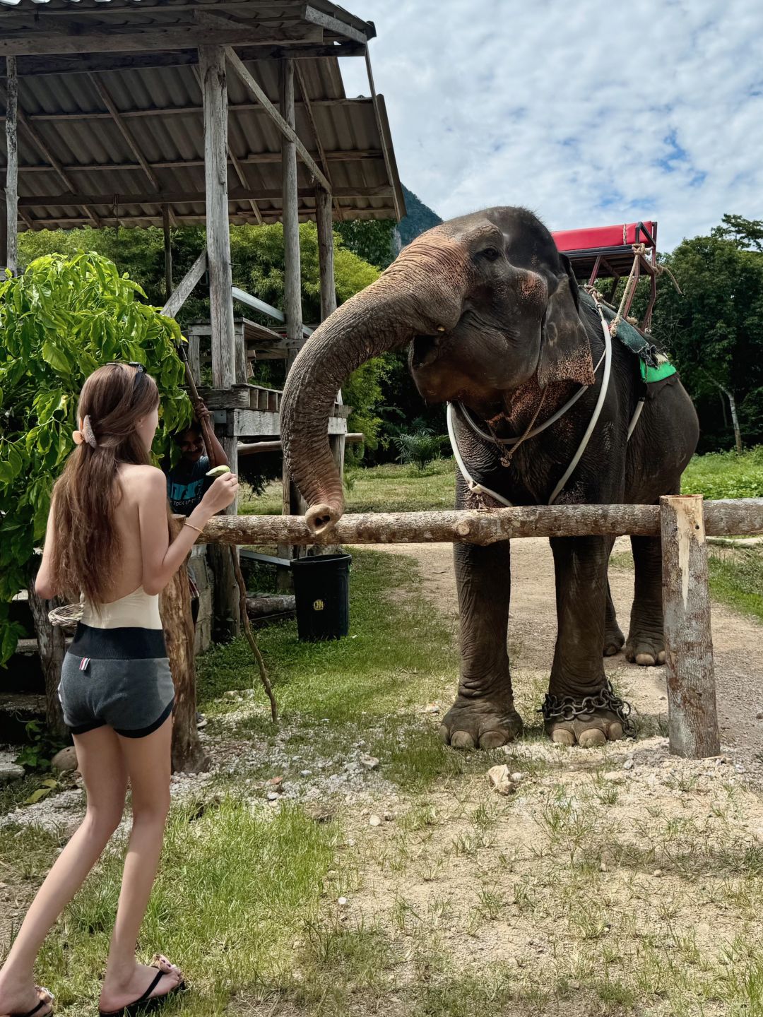 Krabi-Krabi Mirror Lake kayaking adventure, feeding 45-year-old elephants, ATV playing in the mud