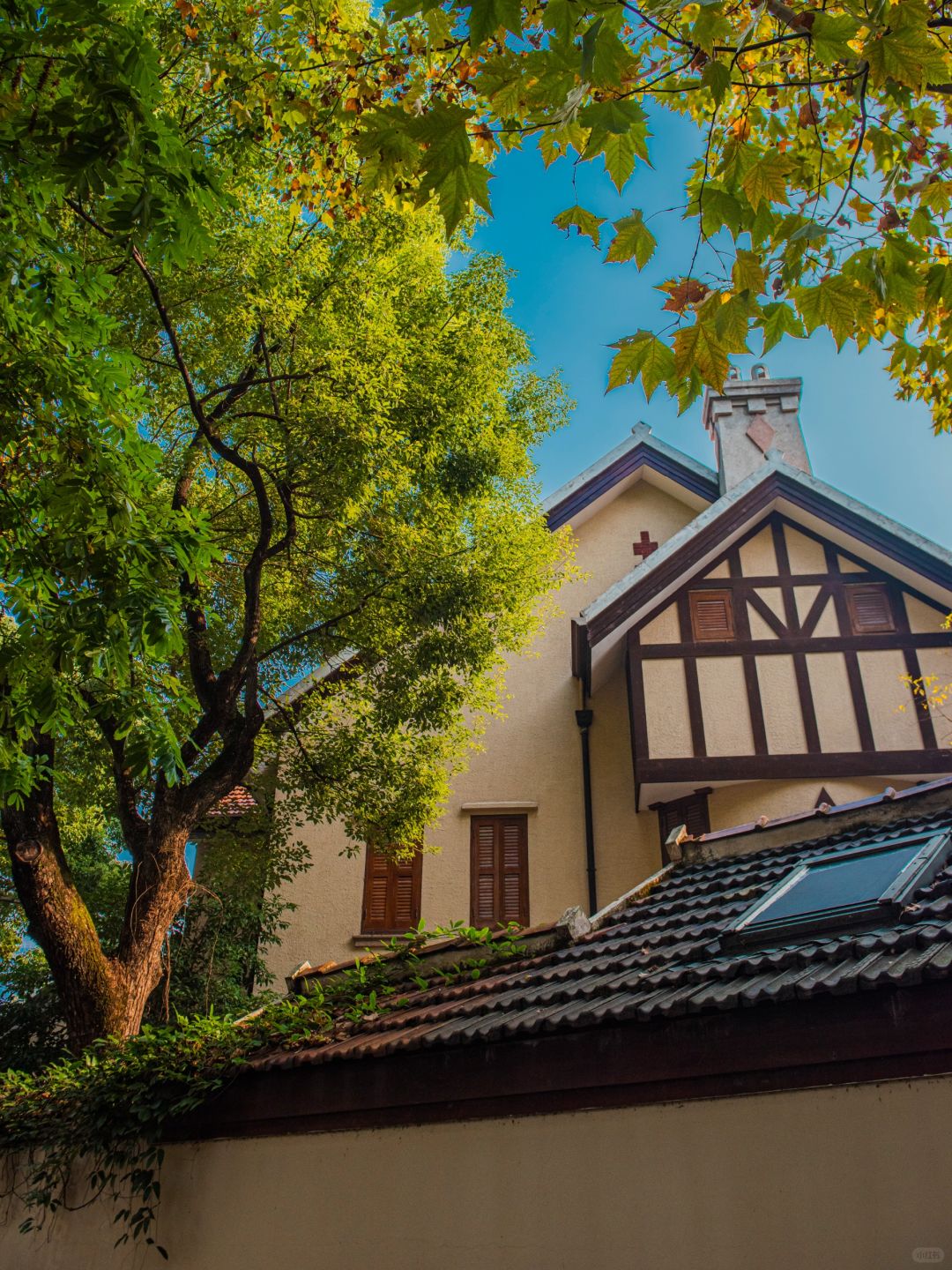 Shanghai/Hangzhou-The Xingguo Hotel in Shanghai has over 20 villas with different styles, preserving the historical charm of the past!