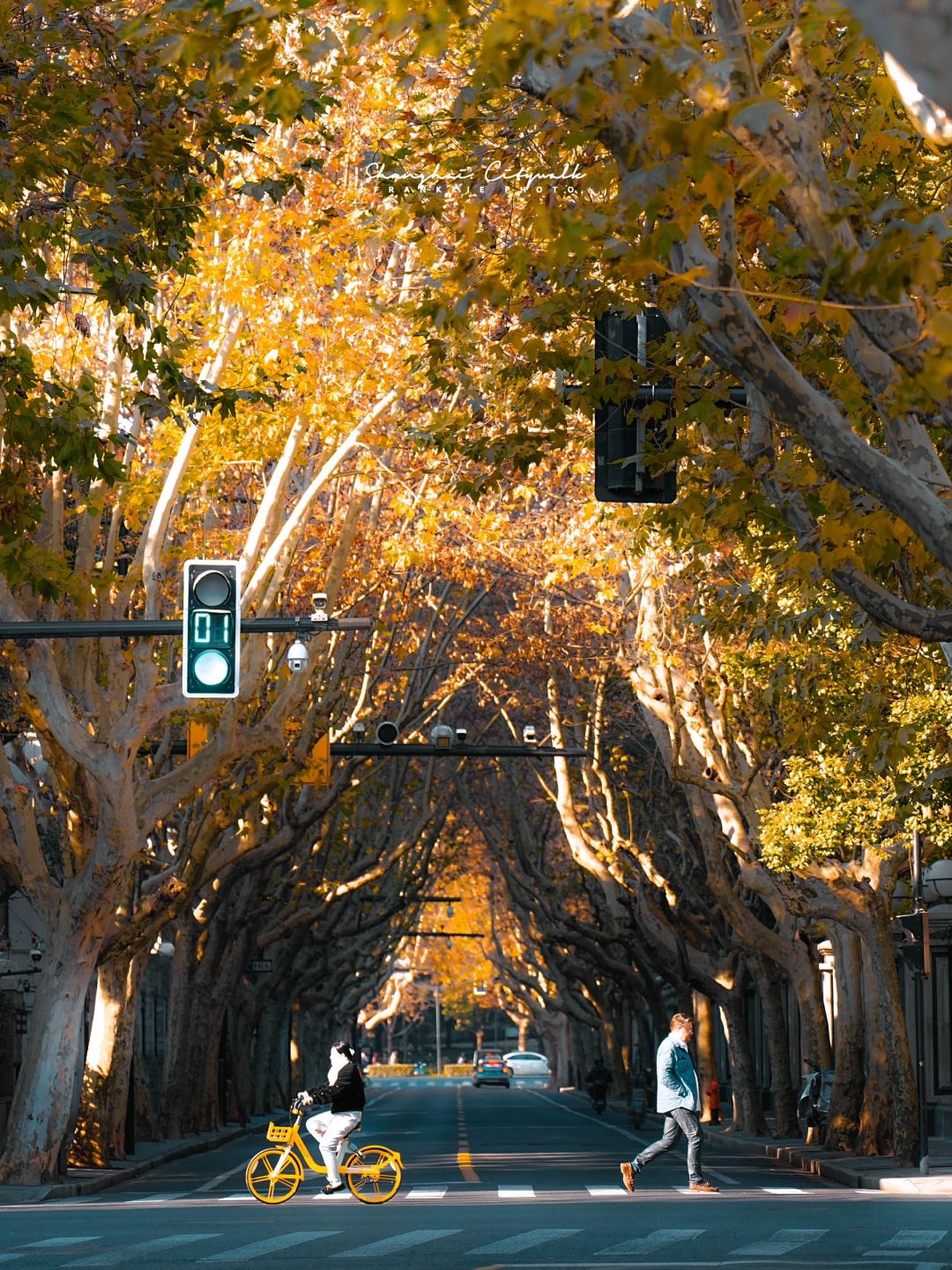 Shanghai/Hangzhou-Explore these historic streets. Feel the unique romance and comfort of Shanghai.