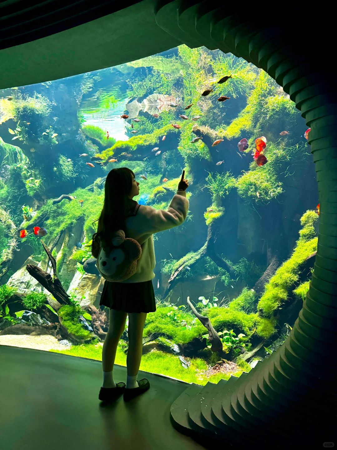 Shanghai/Hangzhou-At the Greenhouse Garden Exhibition Hall of Shanghai World Expo Park, the large underwater fish tank is very beautiful!