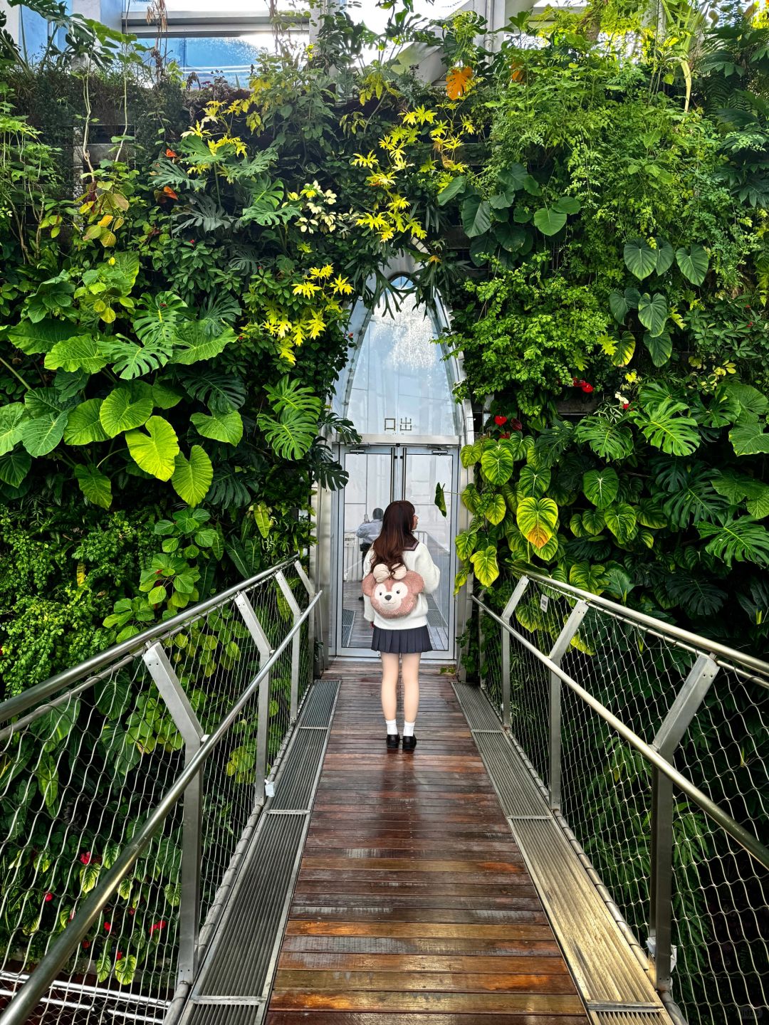 Shanghai/Hangzhou-At the Greenhouse Garden Exhibition Hall of Shanghai World Expo Park, the large underwater fish tank is very beautiful!