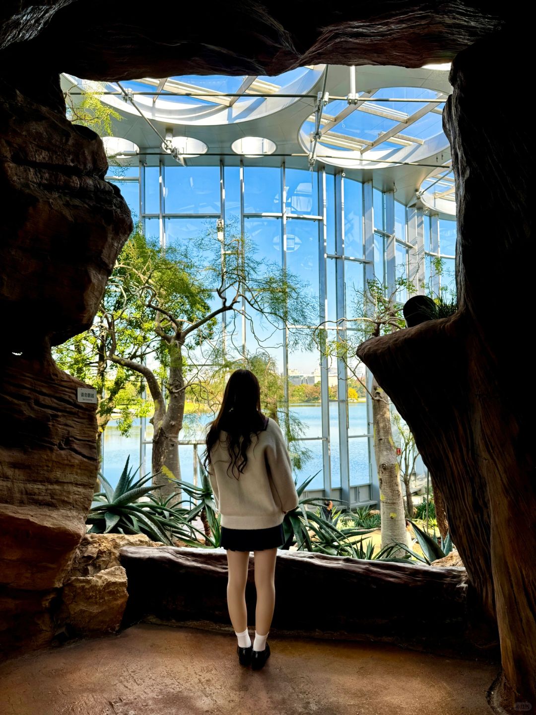 Shanghai/Hangzhou-At the Greenhouse Garden Exhibition Hall of Shanghai World Expo Park, the large underwater fish tank is very beautiful!