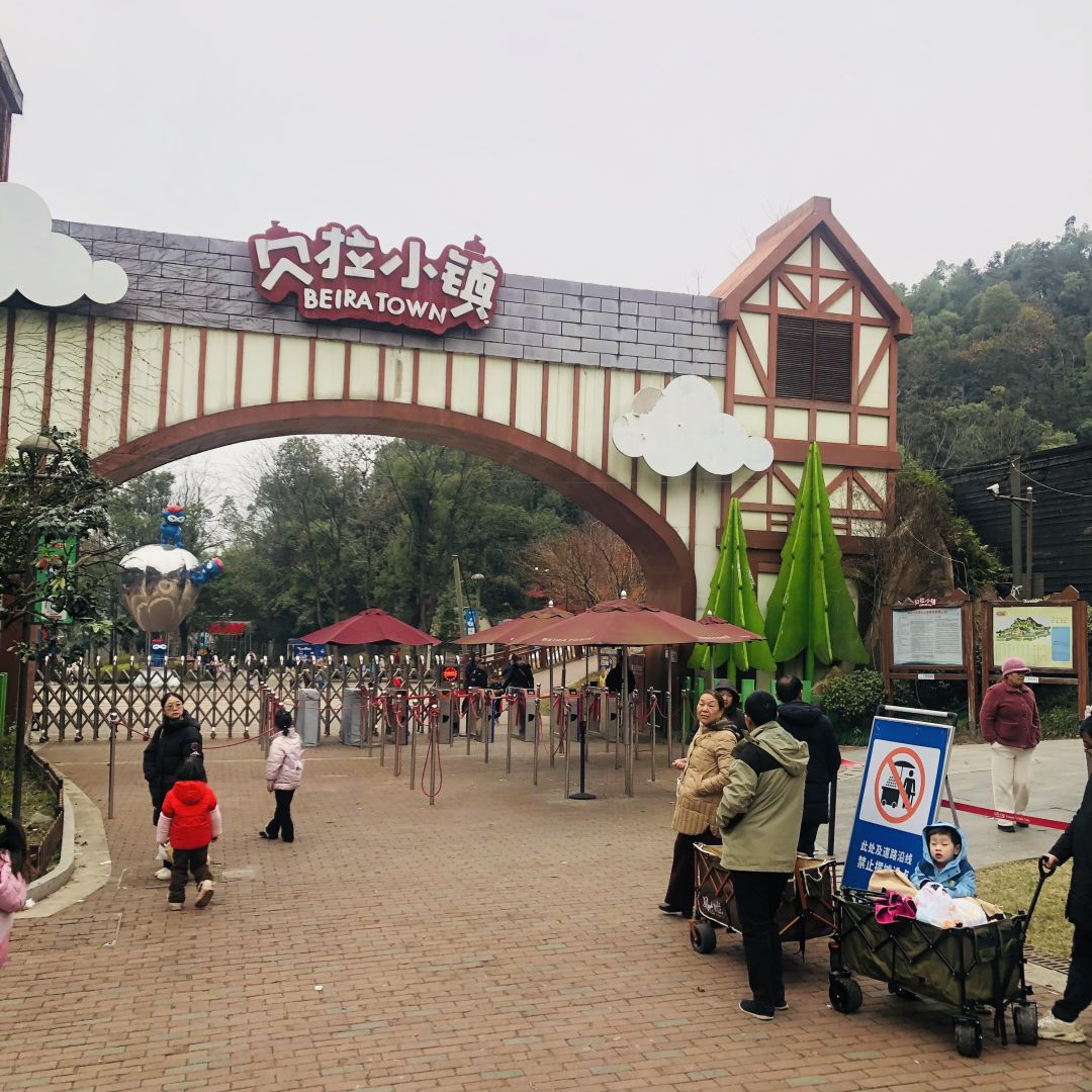 Changsha-Changsha Bella Town Winter Tour Guide.can make cookies and feed pigeons!