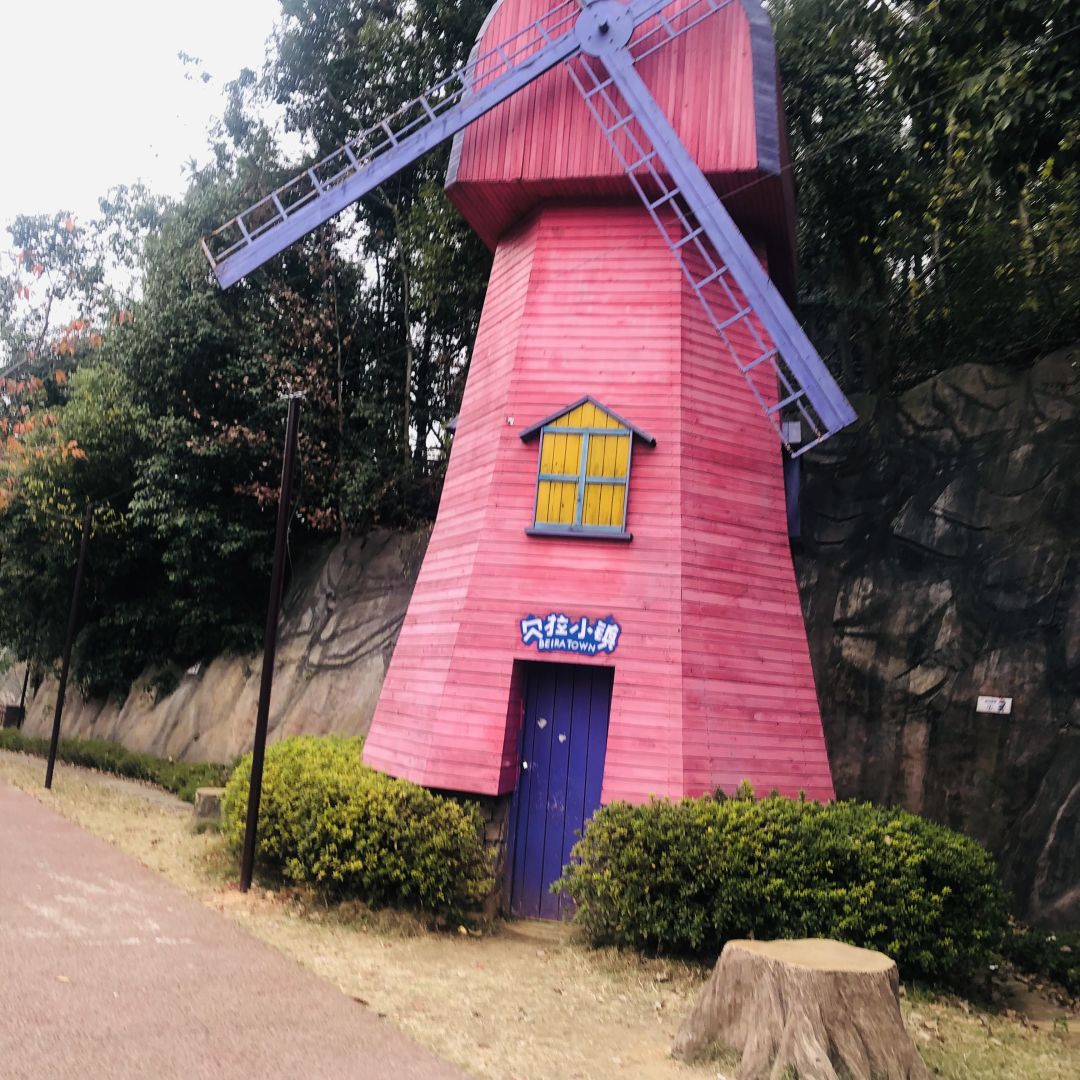 Changsha-Changsha Bella Town Winter Tour Guide.can make cookies and feed pigeons!