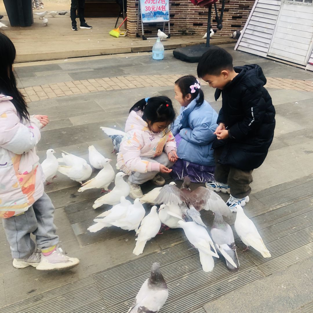 Changsha-Changsha Bella Town Winter Tour Guide.can make cookies and feed pigeons!