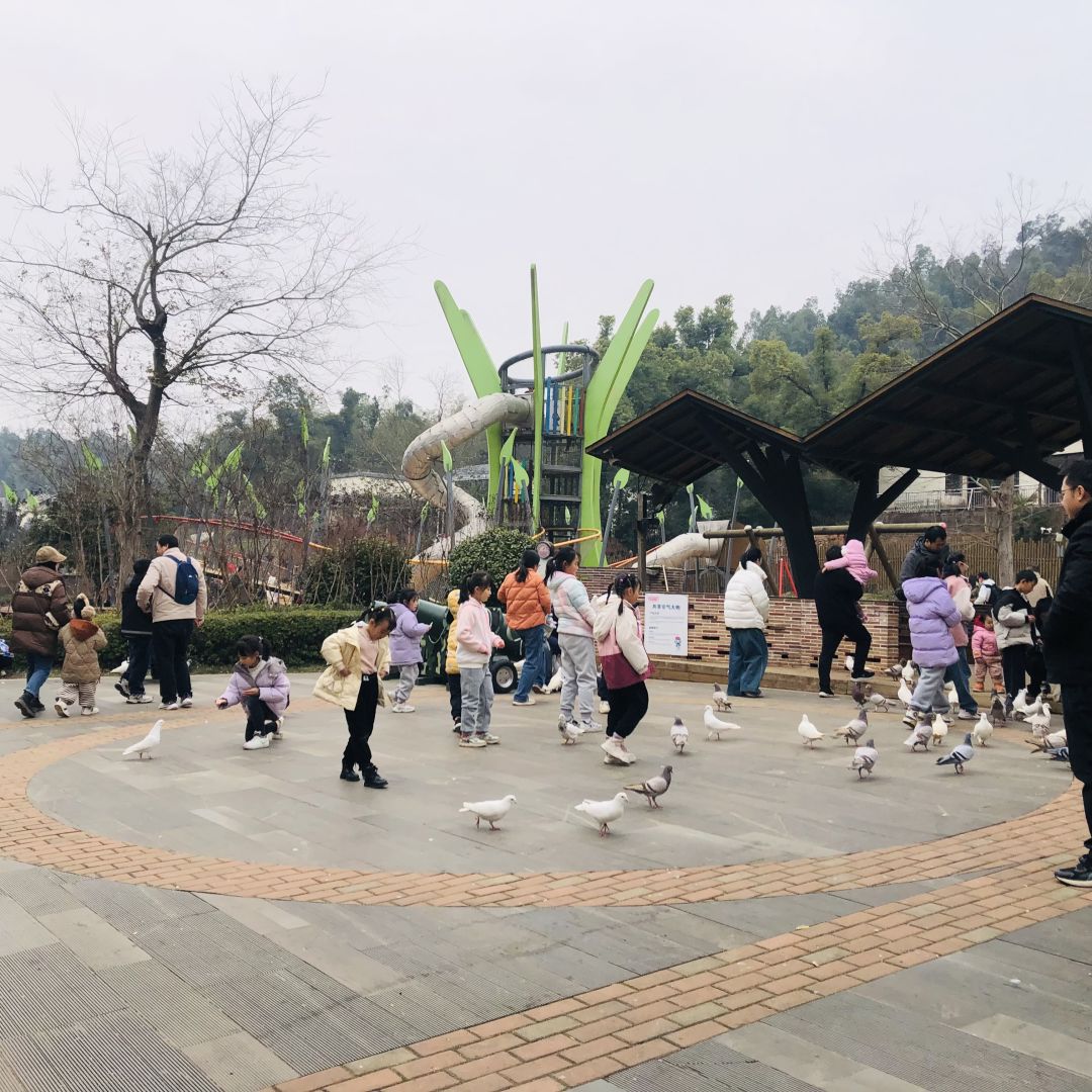 Changsha-Changsha Bella Town Winter Tour Guide.can make cookies and feed pigeons!