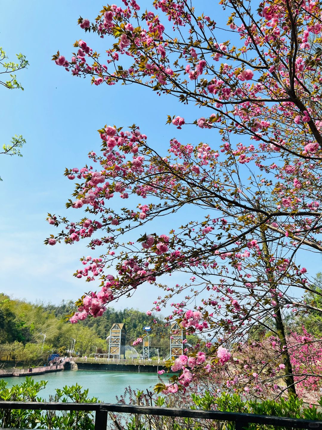 Changsha-Changsha Bella Town Tour Guide - Relaxed Interior Version!Children's favorite place!