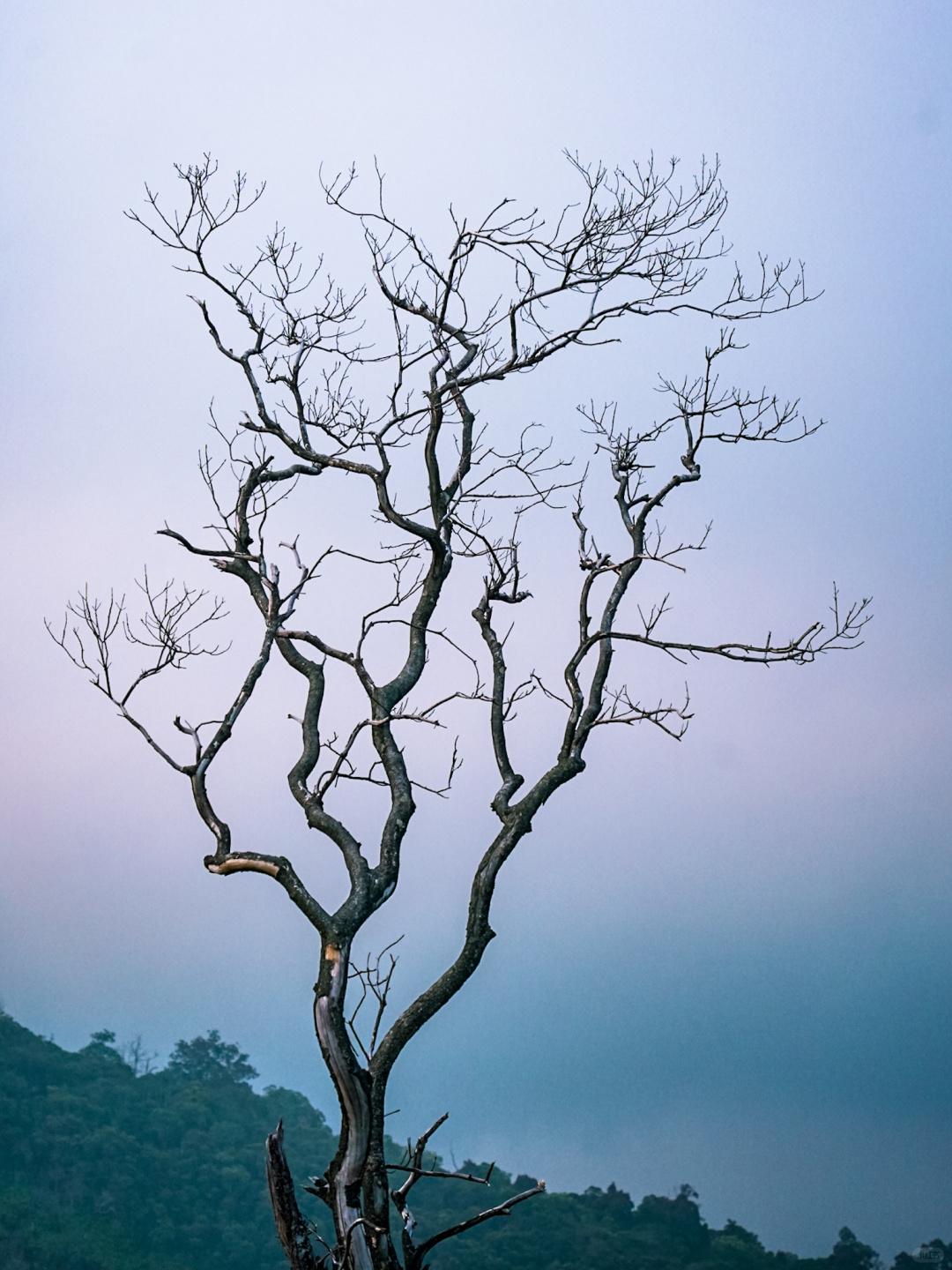 Jakarta-About 50 kilometers south of Bandung, Kawah Putih volcanic lake has a gem-like blue water