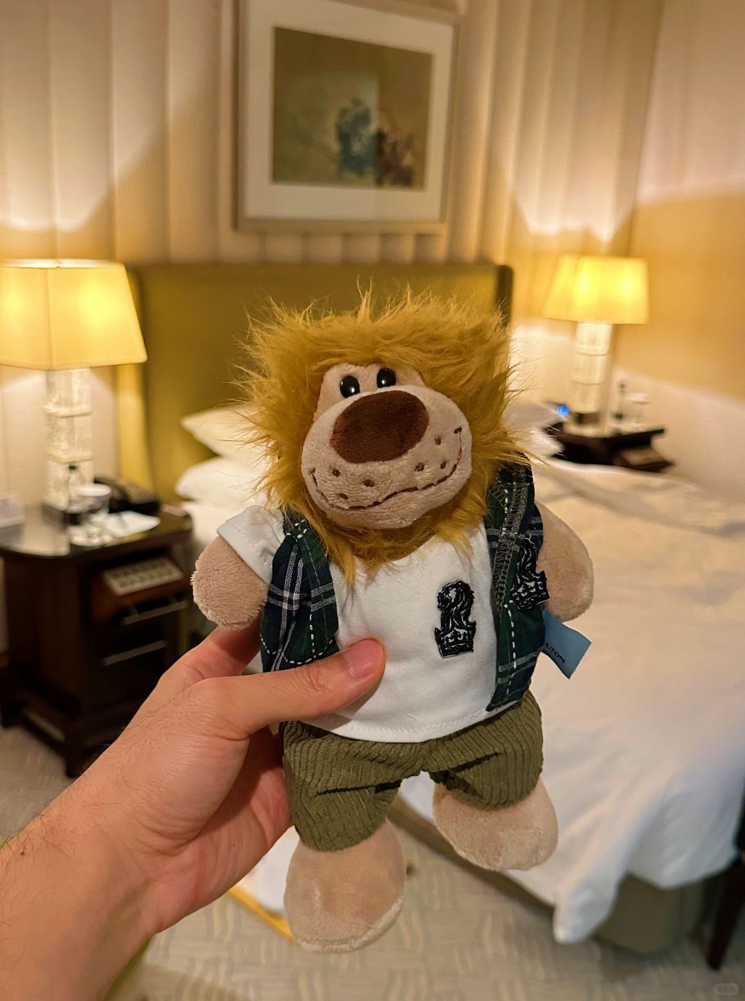 Beijing/Tianjin-Beijing Ritz Hotel, the hotel sent a little lion toy, I like it very much!