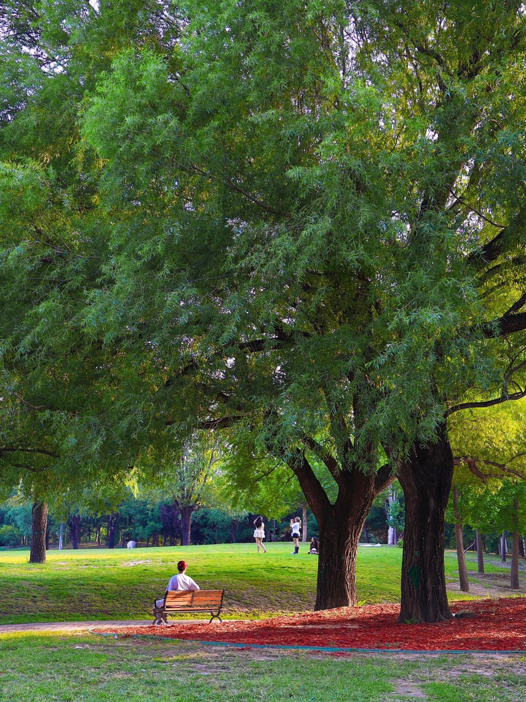 Beijing/Tianjin-Beijing walking route, take you to feel the different local customs!