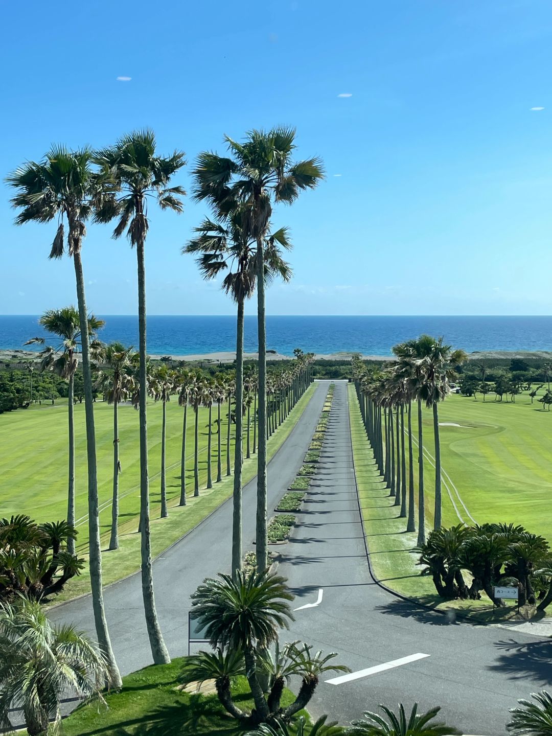 Tokyo-Travel guide to Tateyama in Chiba, Japan, with endless coconut trees and coastline