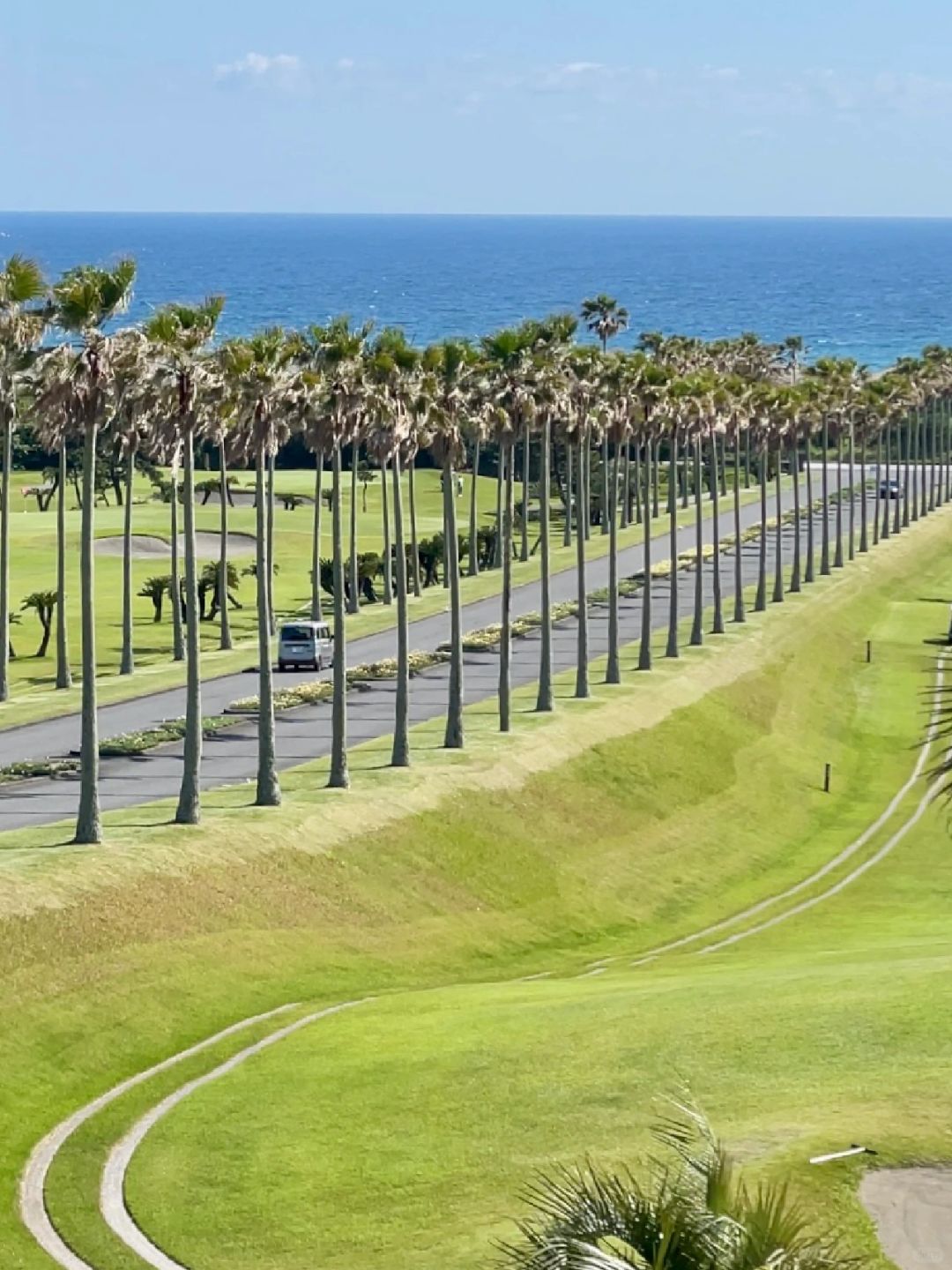 Tokyo-Travel guide to Tateyama in Chiba, Japan, with endless coconut trees and coastline