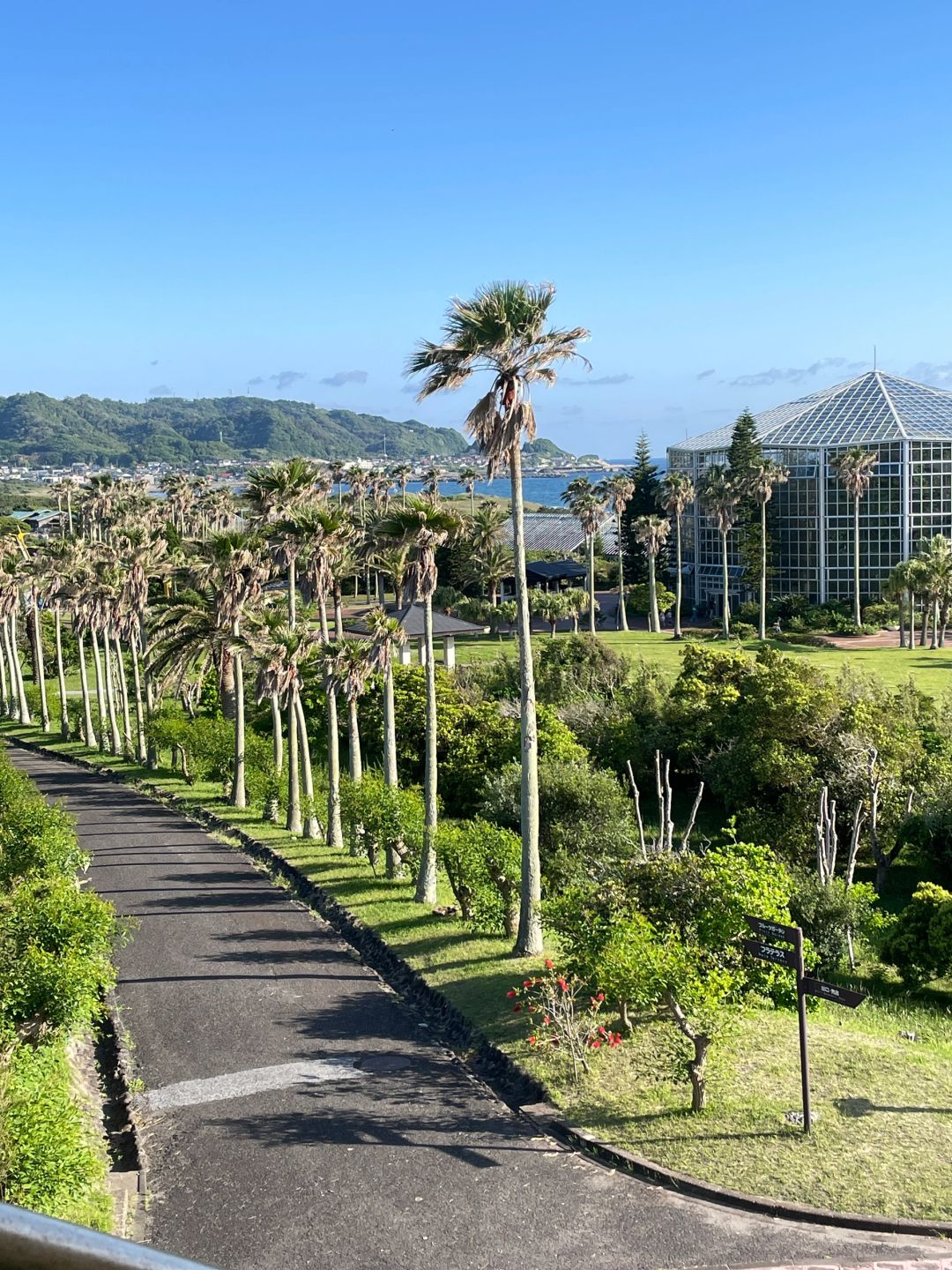 Tokyo-Travel guide to Tateyama in Chiba, Japan, with endless coconut trees and coastline