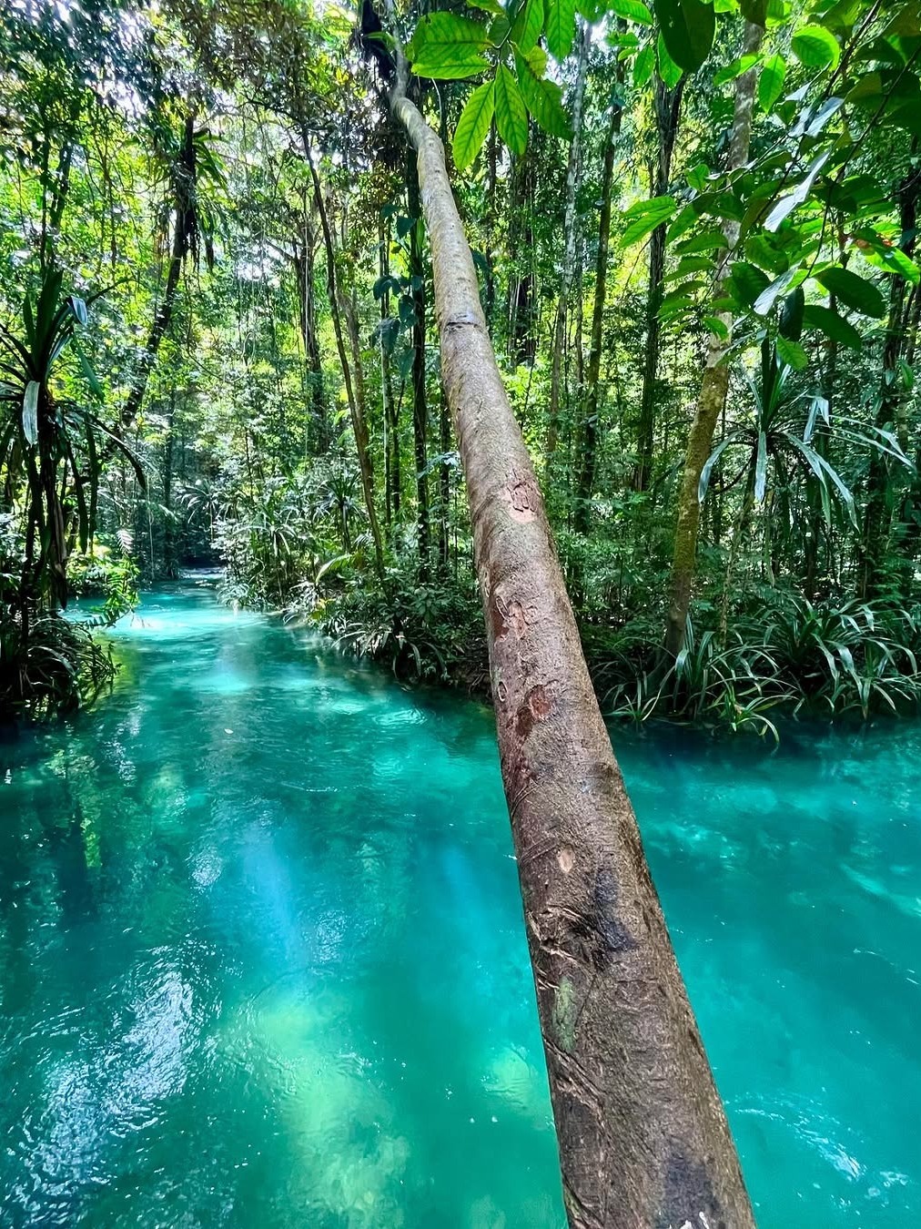 Jakarta-The last tourist resort in Indonesia, Raja Ampat is one of the six top diving sites, keeping its natural pristine state.