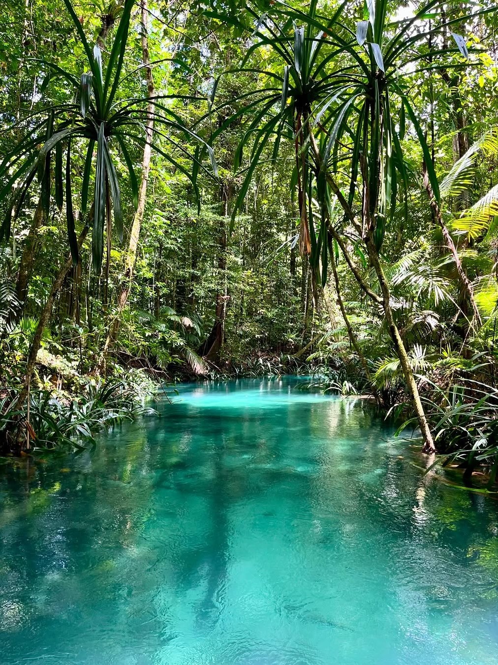 Jakarta-The last tourist resort in Indonesia, Raja Ampat is one of the six top diving sites, keeping its natural pristine state.