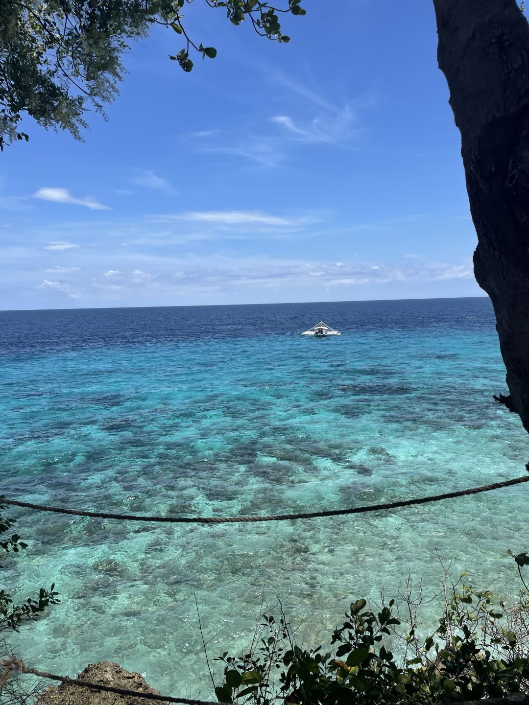 Cebu-Cebu-Bohol-Siquijor-Sumilon Island Hopping Tour, lying on the beach at night with a Milky Way above your head