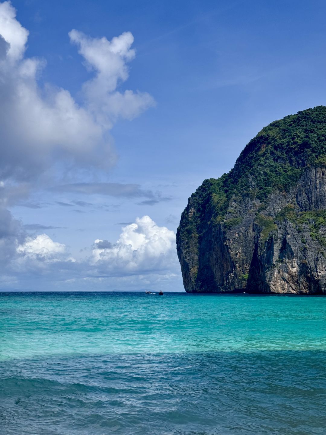 Phuket-Phuket Phi Phi Island Tour, Maya Bay is open on the first day, saw sharks and beautiful scenery