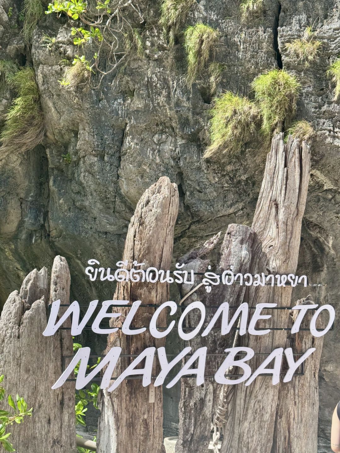 Phuket-Phuket Phi Phi Island Tour, Maya Bay is open on the first day, saw sharks and beautiful scenery