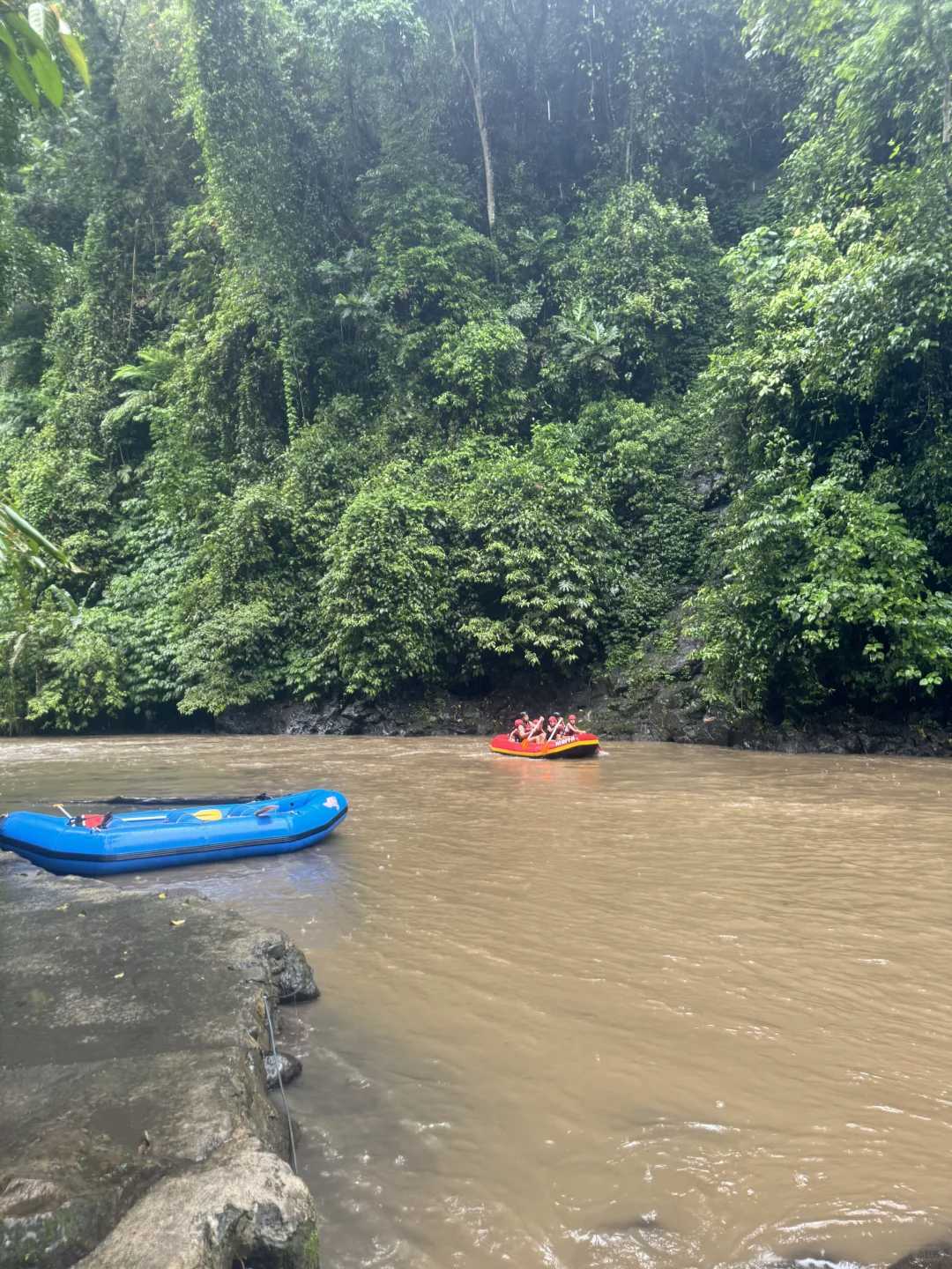 Bali-Bali Ayung River rafting and ATV off-road vehicle, with primitive and dense tropical forests on both sides