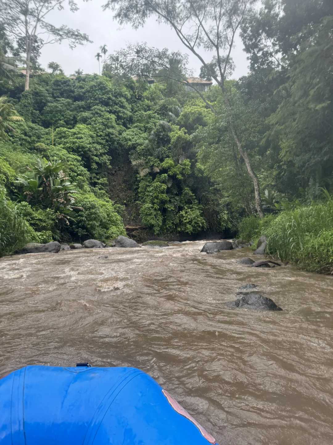 Bali-Bali Ayung River rafting and ATV off-road vehicle, with primitive and dense tropical forests on both sides