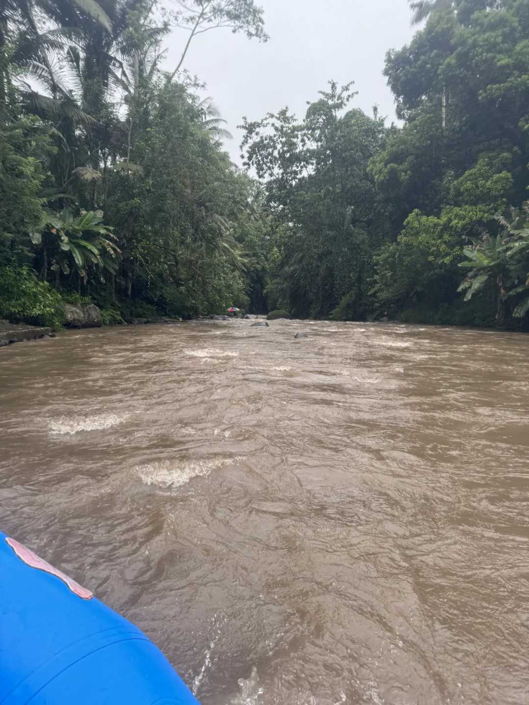 Bali-Bali Ayung River rafting and ATV off-road vehicle, with primitive and dense tropical forests on both sides