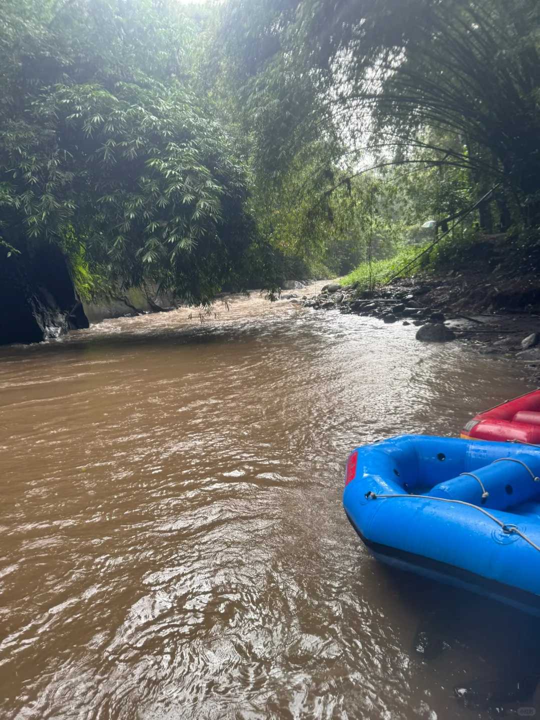 Bali-Bali Ayung River rafting and ATV off-road vehicle, with primitive and dense tropical forests on both sides