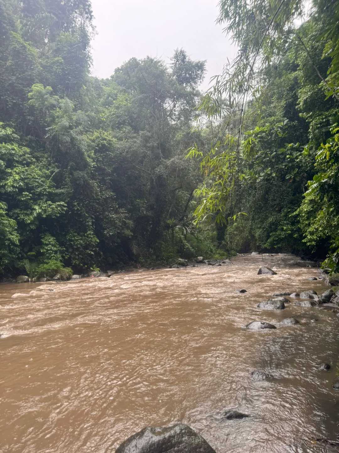 Bali-Bali Ayung River rafting and ATV off-road vehicle, with primitive and dense tropical forests on both sides