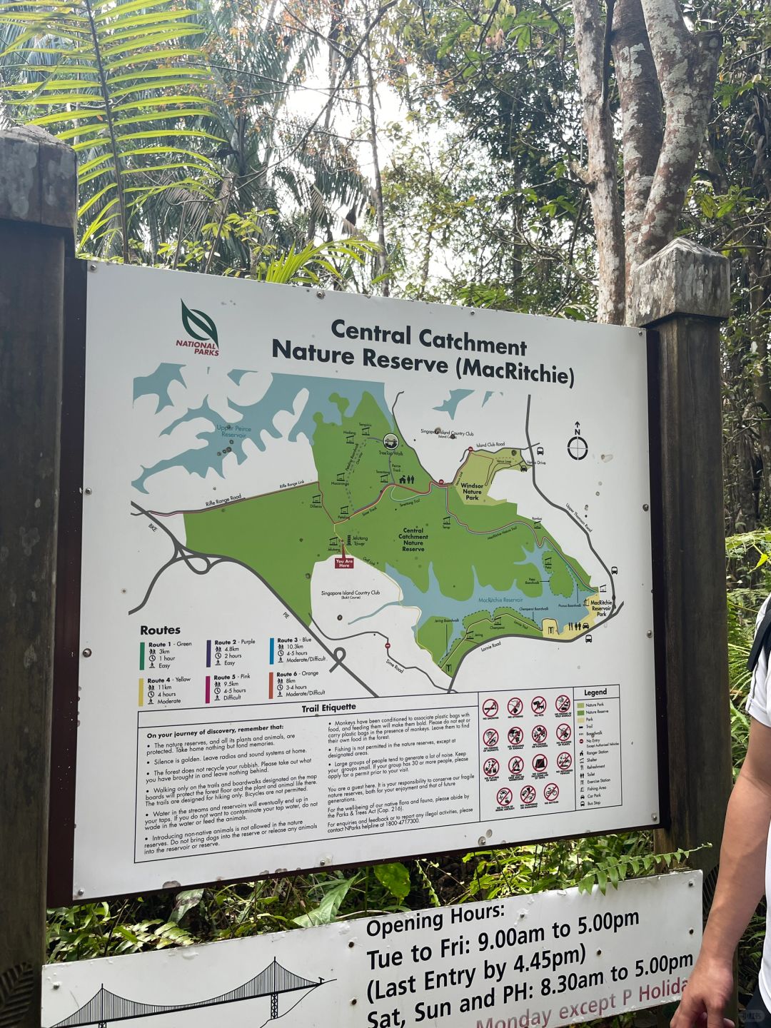 Singapore-Travel guide to MacRitchie Reservoir Park in Singapore, where there are many wild animals