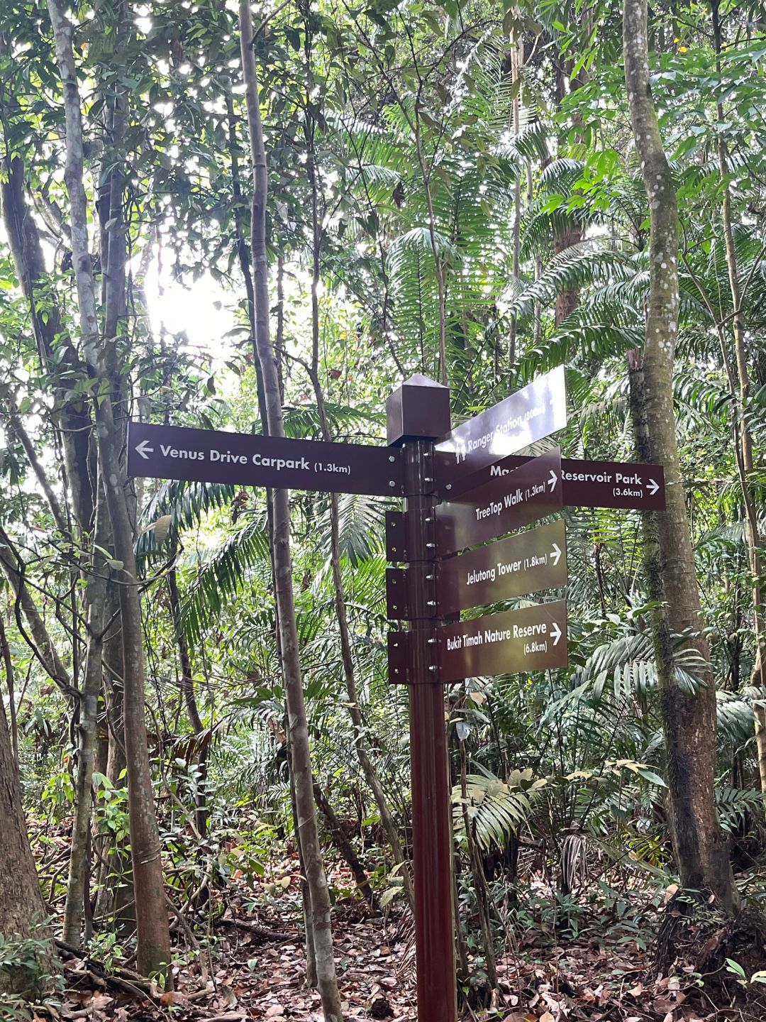 Singapore-Travel guide to MacRitchie Reservoir Park in Singapore, where there are many wild animals