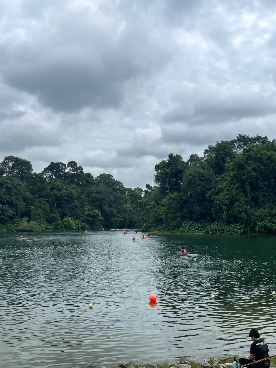 Singapore-Travel guide to MacRitchie Reservoir Park in Singapore, where there are many wild animals