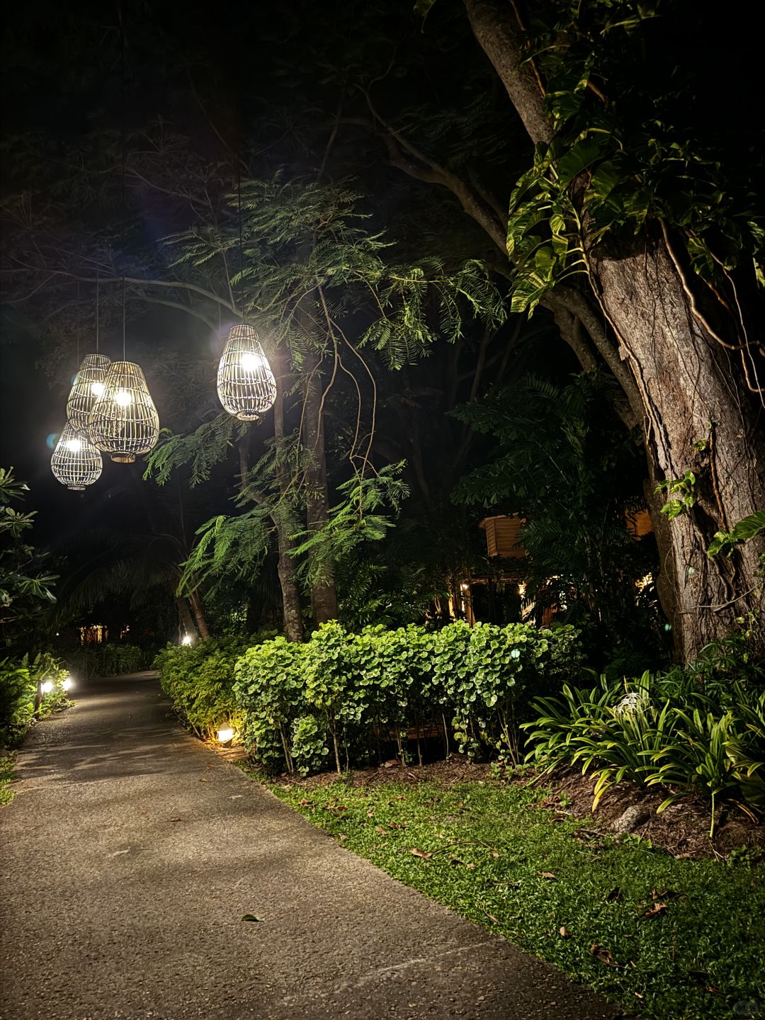 Krabi-Krabi Railay Beach Rayavadee Resort Hotel, a single-family villa room hidden in the jungle