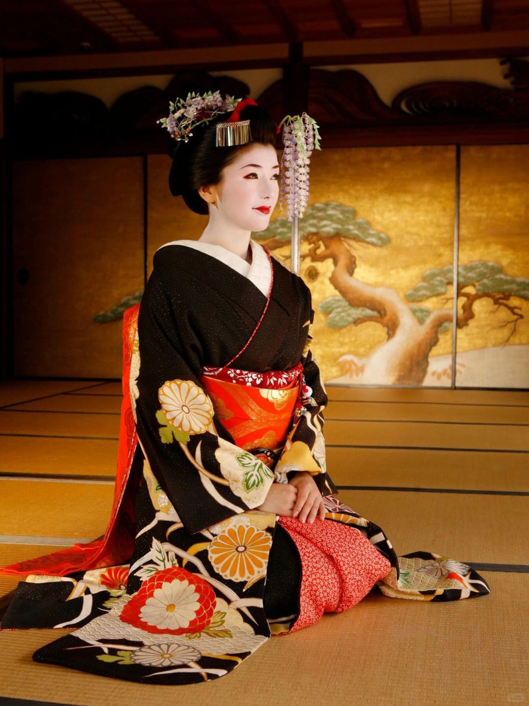 Osaka-7-day in-depth tour of Kansai, Japan, including geisha performances and ancient temple tea ceremonies